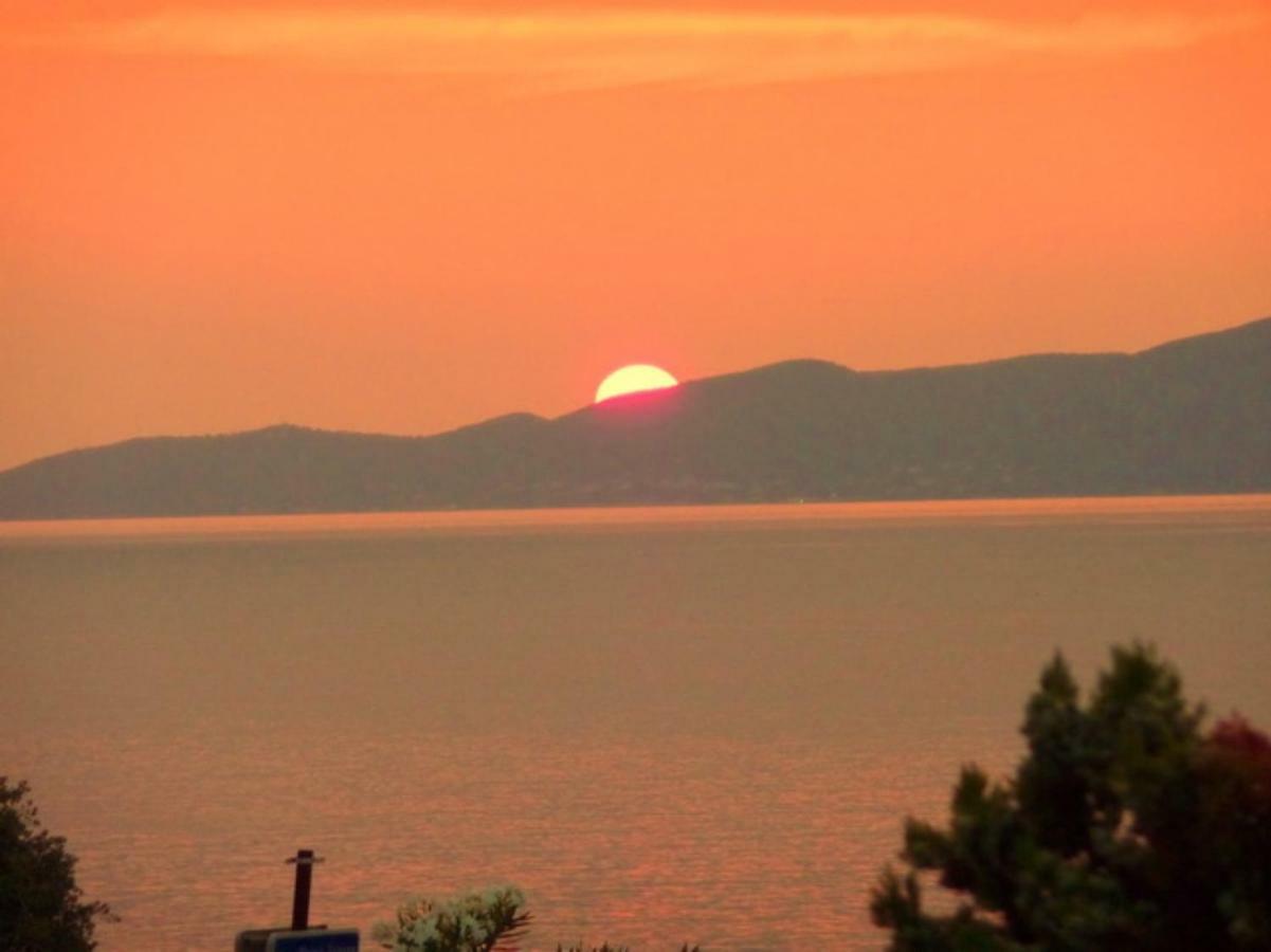 Vue Mer Panoramique Plage 50M Porticcio Corse エクステリア 写真
