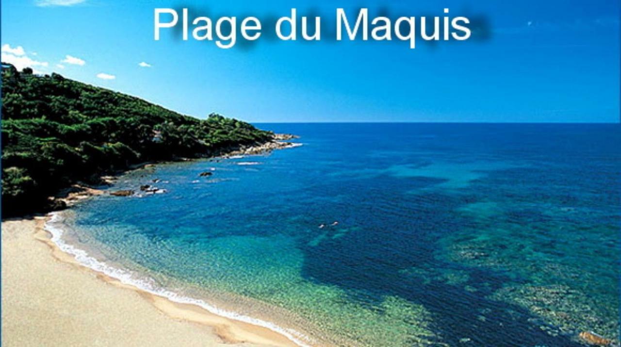 Vue Mer Panoramique Plage 50M Porticcio Corse エクステリア 写真